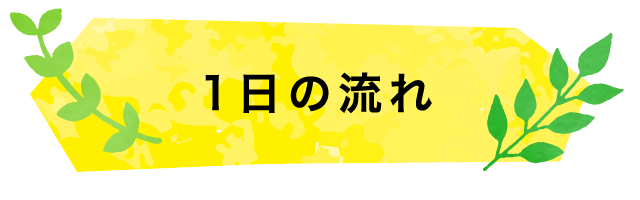 1日の流れ