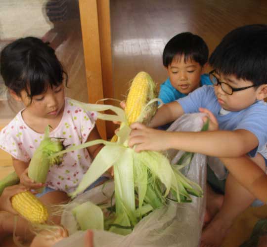 食育活動 写真02